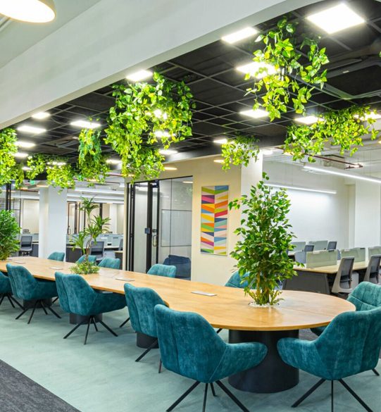 Commercial Interior Design in UAE