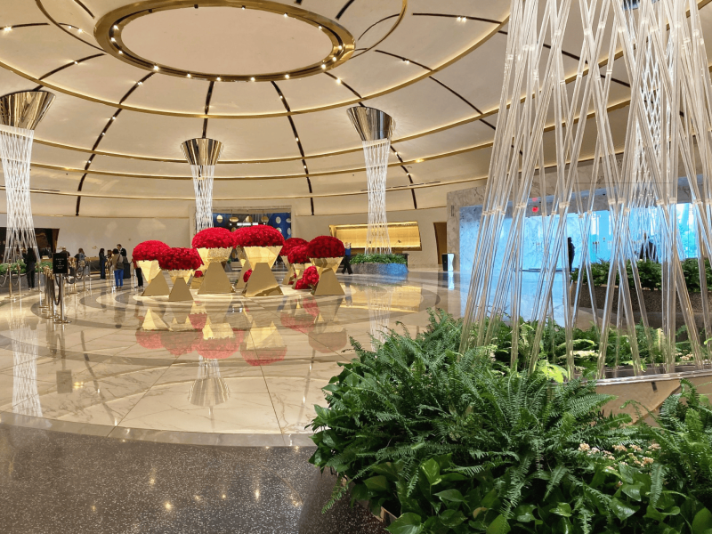 MSD Blog (1) MSD Blog (1)